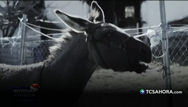 La «Cuesta del Burro»: donde el diablo dejó su rastro en Cojutepeque