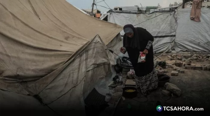 Un informe revela que la seguridad alimentaria en Gaza ha mejorado, pero la población continúa con tasas muy elevadas de desnutrición aguda.