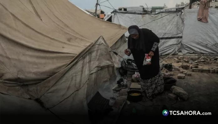 Seguridad alimentaria en Gaza mejora tras el alto el fuego, pero la crisis persiste Un informe revela que la seguridad alimentaria en Gaza ha mejorado, pero la población continúa con tasas muy elevadas de desnutrición aguda.