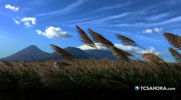 Los vientos del este y el calor del día favorecerán condiciones estables, por lo que no se esperan lluvias.