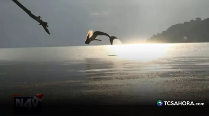 En las aguas de “El Playón