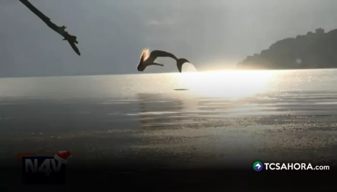 La sirena que atrae a los hombres en las aguas de El Playón, Cojutepeque En las aguas de “El Playón