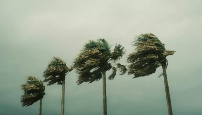Ciclón bomba amenaza el norte y centro de California Según los pronósticos, el ciclón bomba podría derribar árboles y cables eléctricos en diferentes áreas de California.