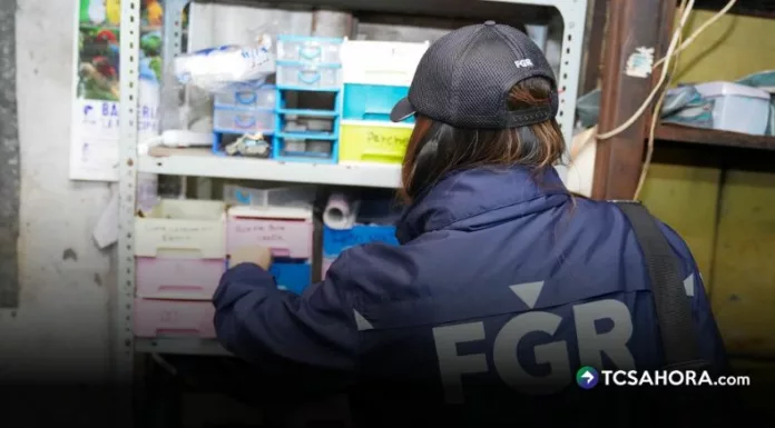 Los registros se realizaron en distintos puntos de la capital para intervenir bodegas con mercadería ilegal.