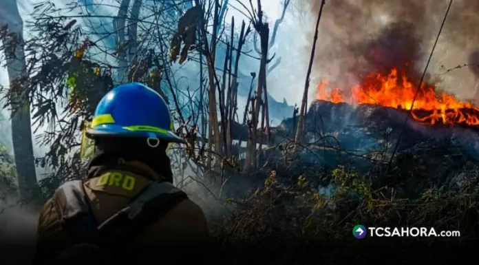 Un incendio estructural en Soyapango y varios siniestros en terrenos con maleza seca y un vehículo se registraron durante las últimas horas en San Salvador, Santa Ana y Sonsonate.