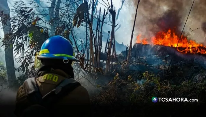 Bomberos sofocaron al menos cuatro incendios en las últimas horas Un incendio estructural en Soyapango y varios siniestros en terrenos con maleza seca y un vehículo se registraron durante las últimas horas en San Salvador, Santa Ana y Sonsonate.