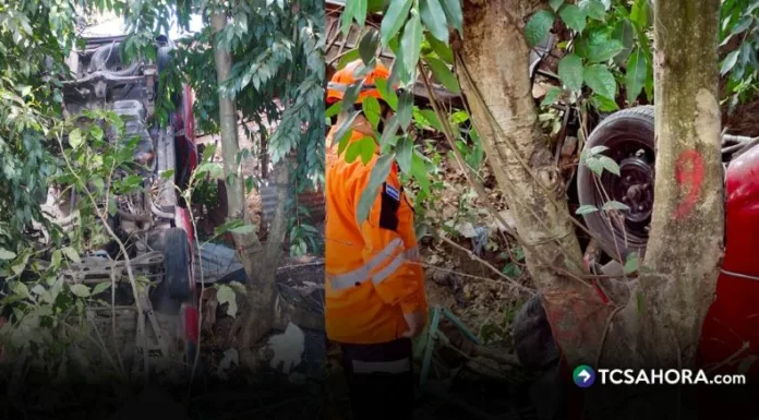 Al menos ocho personas resultaron lesionadas en un accidente de tránsito registrado en el km 79 de la carretera Panamericana, distrito de El Porvenir, Santa Ana Oeste.
