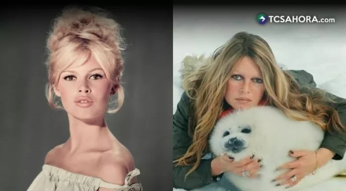 La estrella del cine francés y defensora de los animales, Brigitte Bardot, falleció este domingo a los 91 años.
