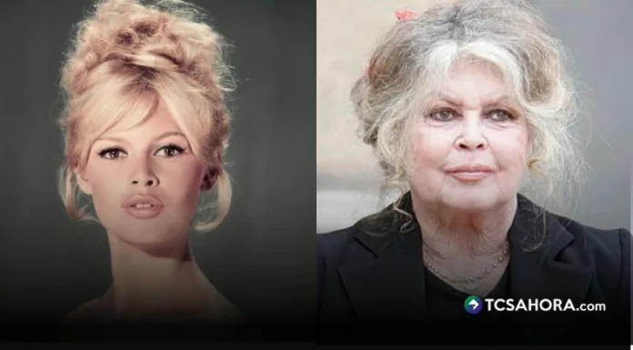 Propiedades en la Costa Azul, viviendas en París y derechos de imagen forman parte del patrimonio que hoy abre interrogantes sobre quién recibirá su fortuna.