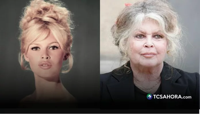 ¿Quién heredará la millonaria fortuna que dejó Brigitte Bardot Propiedades en la Costa Azul, viviendas en París y derechos de imagen forman parte del patrimonio que hoy abre interrogantes sobre quién recibirá su fortuna.
