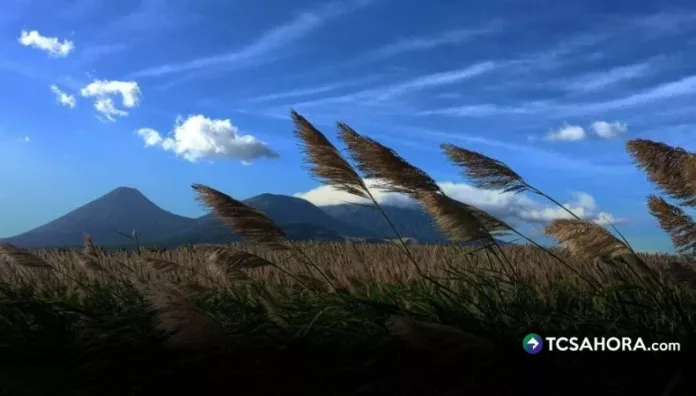 Vientos nortes predominarán en el país este martes El informe del Ministerio de Medio Ambiente y Recursos Naturales (MARN) indica que la influencia de los vientos del norte persistirá este martes.