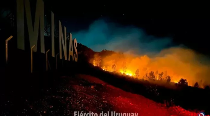 Las altas temperaturas y la falta de lluvias contribuyeron para que las llamas consumieran más de 2,000 hectáreas en Uruguay.