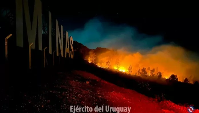 Incendio forestal consume más de 2,000 hectáreas en Uruguay Las altas temperaturas y la falta de lluvias contribuyeron para que las llamas consumieran más de 2,000 hectáreas en Uruguay.