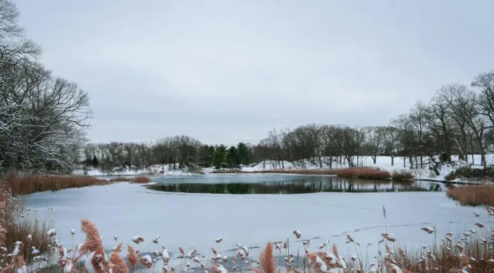 La tormenta invernal azotó desde el lunes varias partes de las Llanuras y los Grandes Lagos dejando aire frío, fuerte viento y nieve.