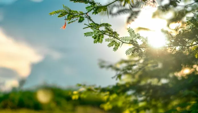 Vientos Nortes disminuirán en las próximas horas Según Medio Ambiente, los Vientos Nortes comenzarán a disminuir en el transcurso de este jueves en todo el territorio.
