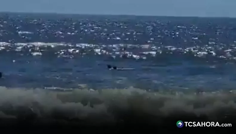 Rescatan a bañista en playa Cangrejera, La Libertad Personal de la Marina Nacional rescató a un bañista que fue arrastrado por una corriente marina en la playa Cangrejera, en La Libertad.