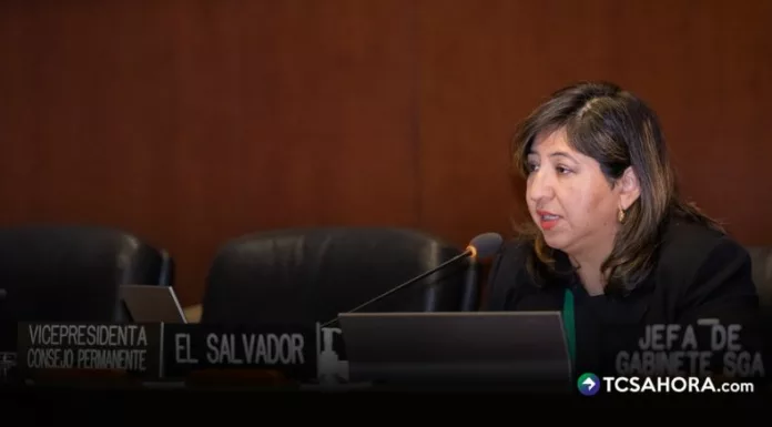 Representante de El Salvador ante la OEA, Wendy Acevedo, pidió acciones concretas para garantizar orden constitucional y respeto a la democracia en Venezuela.