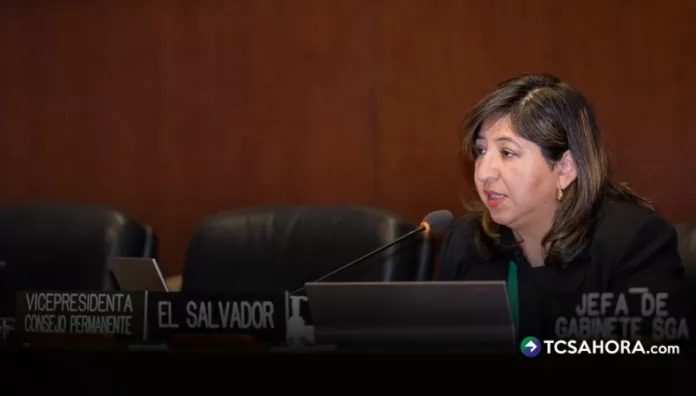 El Salvador pide a la OEA decisiones firmes sobre Venezuela Representante de El Salvador ante la OEA, Wendy Acevedo, pidió acciones concretas para garantizar orden constitucional y respeto a la democracia en Venezuela.