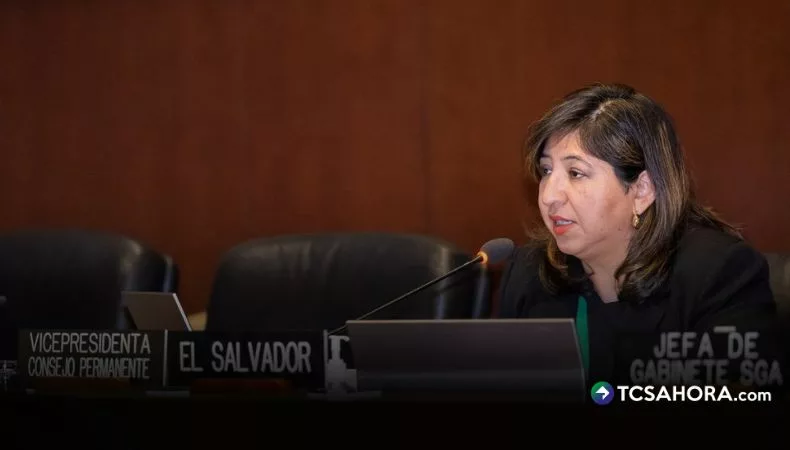 El Salvador pide a la OEA decisiones firmes sobre Venezuela