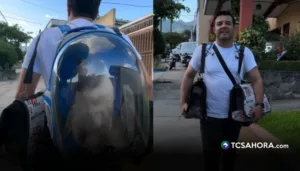 Así lleva Henry Urbina a sus cuatro gatitos al veterinario El conductor de Viva la Mañana compartió un video caminando con varios kennel y una mochila especial en la que transportaba a sus mascotas.