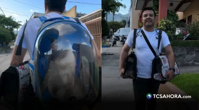 El conductor de Viva la Mañana compartió un video caminando con varios kennel y una mochila especial en la que transportaba a sus mascotas.