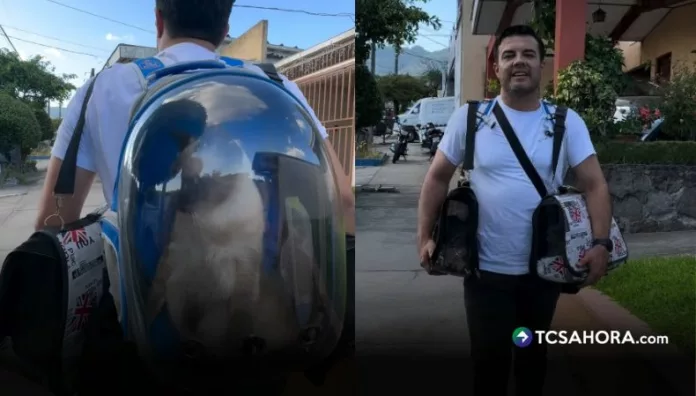 Así lleva Henry Urbina a sus cuatro gatitos al veterinario El conductor de Viva la Mañana compartió un video caminando con varios kennel y una mochila especial en la que transportaba a sus mascotas.