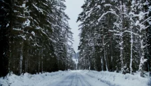California enfrenta advertencia por frío extremo California registra bajas temperaturas y millones de residentes enfrentarán un frío extremo a partir de esta noche.