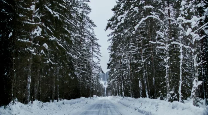 California registra bajas temperaturas y millones de residentes enfrentarán un frío extremo a partir de esta noche.