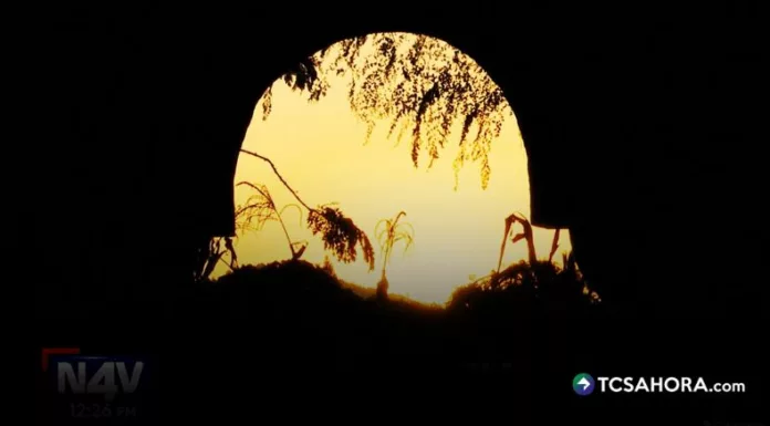 Las ruinas de una antigua casa en Nejapa siguen envueltas en misterio: vecinos afirman que su historia esconde un pacto oscuro que aún genera temor.