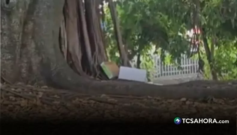 Denuncian abandono de gatos muertos en colonia Centroamérica, San Salvador