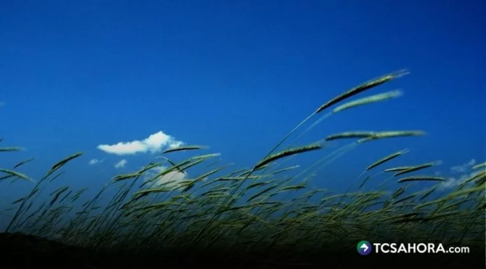 El Ministerio de Medio Ambiente y Recursos Naturales (MARN) informó que esta tarde ingresarán los vientos nortes al país.