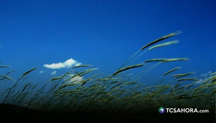 El Ministerio de Medio Ambiente y Recursos Naturales (MARN) informó que esta tarde ingresarán los vientos nortes al país.