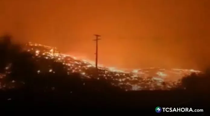 Los incendios forestales en Chile han sido recurrentes y especialistas vinculan su frecuencia e intensidad al cambio climático.