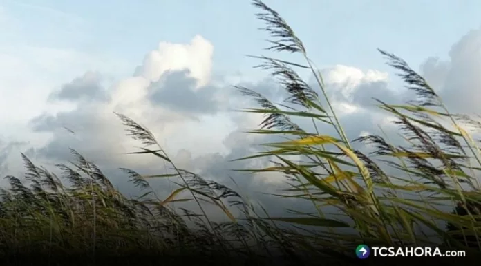 El país está desde este domingo bajo la influencia de Vientos Nortes.