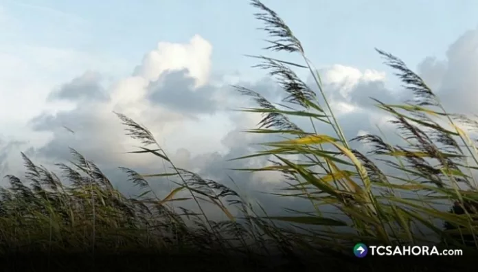 Vientos Nortes se mantendrán hasta el martes El país está desde este domingo bajo la influencia de Vientos Nortes.