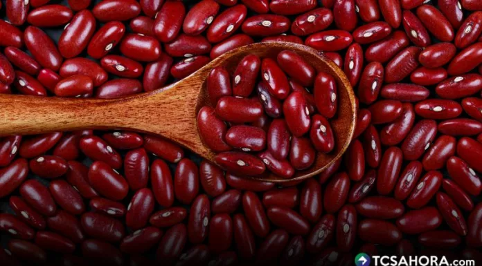 Se sembrarán 20 mil manzanas de terreno, para aumentar la producción de frijol en2026, como parte del reforzamiento de la oferta de granos básicos en El Salvador.