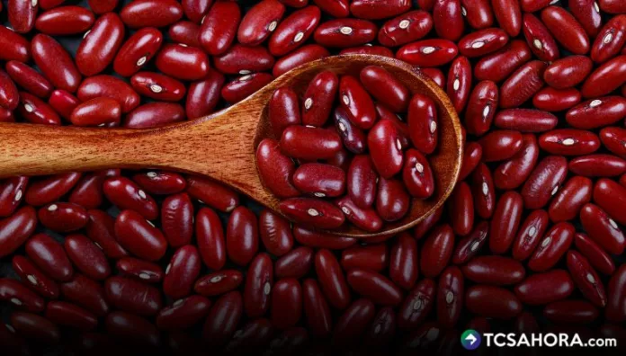 Se sembrarán 20 mil manzanas de terreno, para aumentar la producción de frijol en2026, como parte del reforzamiento de la oferta de granos básicos en El Salvador.