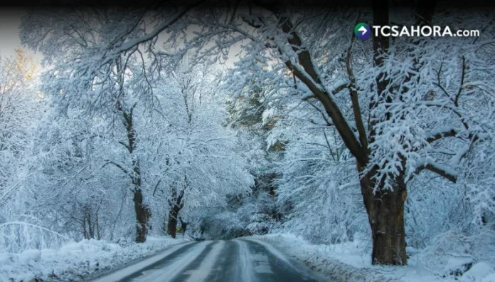 Más de 160 millones de afectados por tormenta invernal en EE. UU La tormenta invernal ha activado alertas por nevadas, lluvia helada y bajas temperaturas. Además, miles de vuelos han sido cancelados.