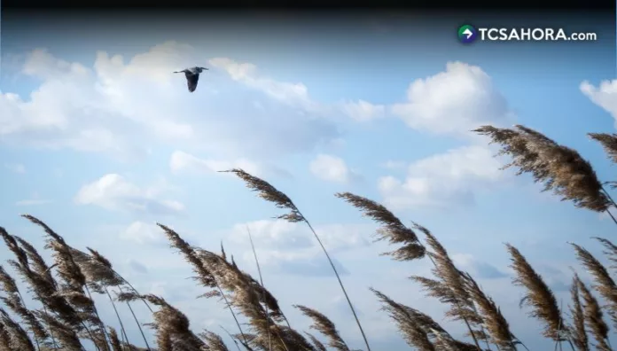 ¡No guarde el suéter! Pronostican más vientos nortes para esta semana Un nuevo episodio de vientos nortes afectará a El Salvador del lunes 26 al jueves 29 de enero, con ráfagas de hasta 80 km/h.