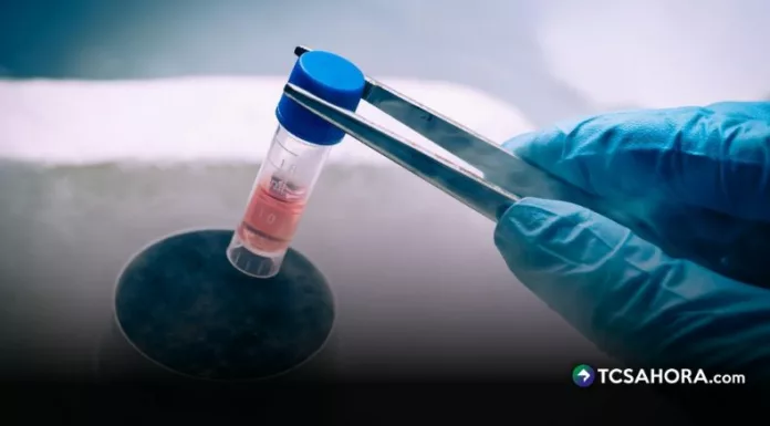 La congelación de óvulos permite a las mujeres preservar su fertilidad, aunque el proceso requiere varios pasos médicos y seguimiento especializado.