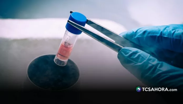 ¿Es posible congelar óvulos en El Salvador La congelación de óvulos permite a las mujeres preservar su fertilidad, aunque el proceso requiere varios pasos médicos y seguimiento especializado.