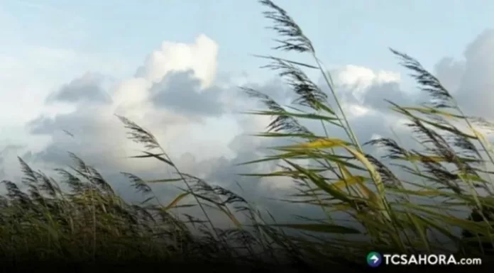 Según el Ministerio de Medio Ambiente, los vientos nortes continuarán influyendo este sábado en el país con una baja de temperaturas.