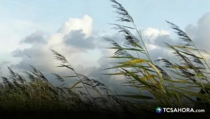 Según el Ministerio de Medio Ambiente, los vientos nortes continuarán influyendo este sábado en el país con una baja de temperaturas.