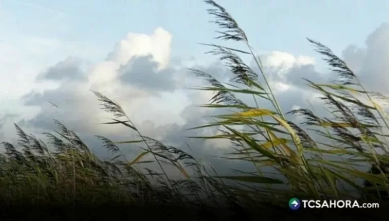 Los vientos nortes continuarán durante fin de semana