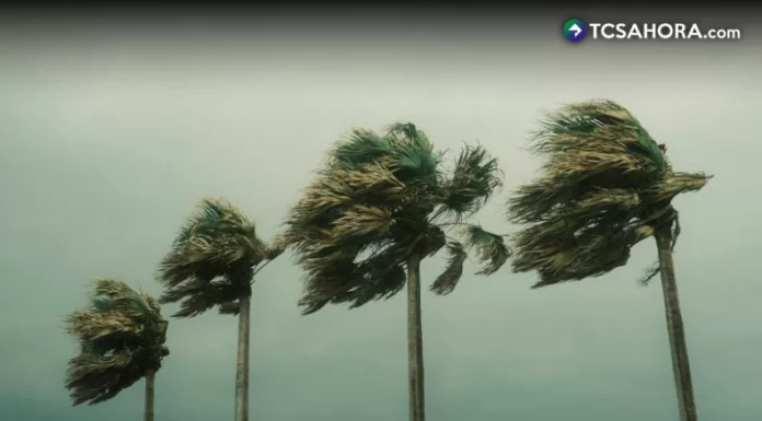 La advertencia se debe a que los Vientos Nortes continuarán hasta el lunes 2 de febrero provocando una disminución de las temperaturas.