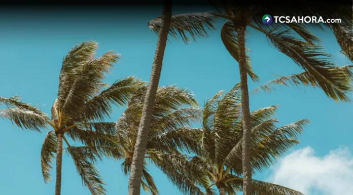 Los vientos nortes persistirán en El Salvador durante los primeros días de febrero y mantendrán temperaturas más frías de lo habitual, sobre todo en noches y madrugadas.