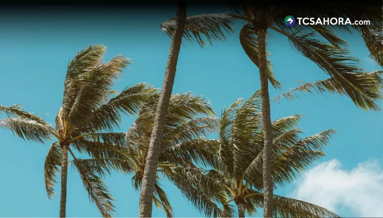 Vientos nortes y bajas temperaturas continuarán durante los primeros días de febrero