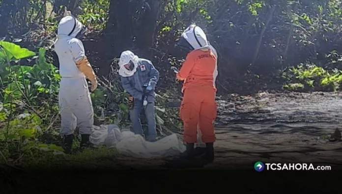 Adulto mayor muere tras sufrir picaduras de abejas en Quezaltepeque Un adulto mayor falleció luego de un ataque de un enjambre de abejas ocurrido en el cantón Platanillos, en el distrito de Quezaltepeque, La Libertad Norte.