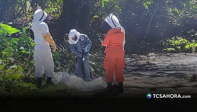 Adulto mayor muere tras sufrir picaduras de abejas en Quezaltepeque
