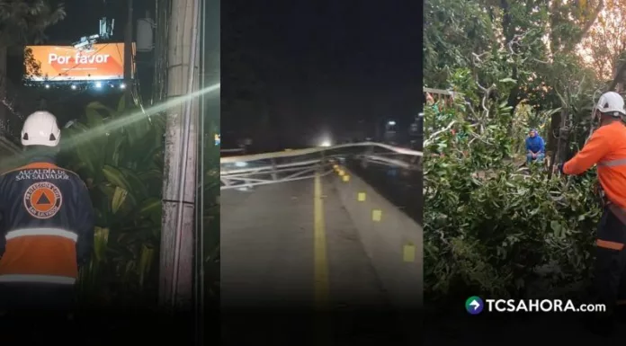 Árboles, ramas y vallas publicitarias cayeron en diferentes puntos del país debido a los fuertes vientos registrados en las últimas horas.